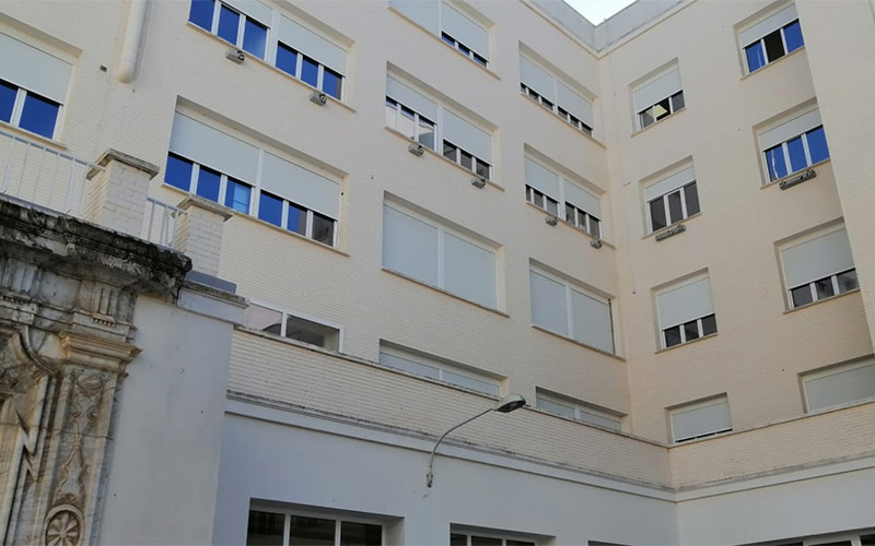 La colonia de vencejos volverá a tener ‘casa’ en Medicina