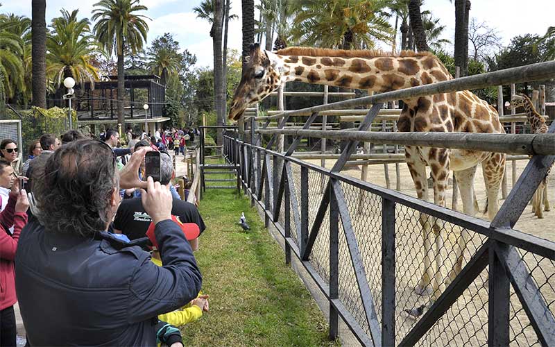 El Consistorio reconoce un “problema puntual” pero asegura que la alimentación de los animales del Zoo de Jerez “está garantizada”