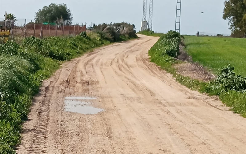 Más de 221.000 euros para la mejora integral del camino rural Hijuela Taza de Plata