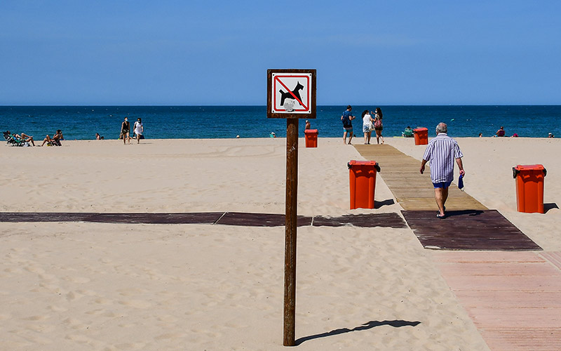 Zonas sin humos y la presencia de mascotas, entre los debates alrededor de la modificación de la ordenanza de playas de Cádiz