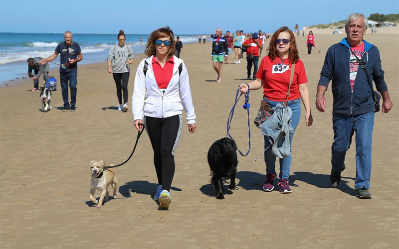 Cs propone perseguir y multar a los dueños de perros en Rota que no recogen las cacas mediante el ADN