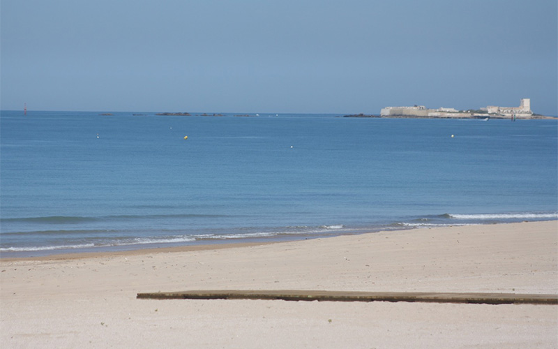 Ecologistas apoya la Reserva Marina de Interés Pesquero entre el Cabo de Trafalgar y Sancti Petri, “por nuestros mares y nuestras vidas”