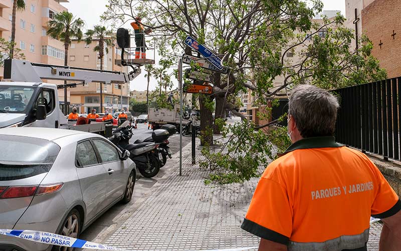 El temporal de levante se ‘despide’ de la Bahía haciéndose notar