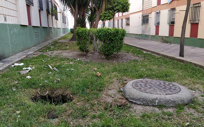 La “aparición de ratas” en los jardines de La Ardila evidencia que el Gobierno isleño “no atiende” al barrio