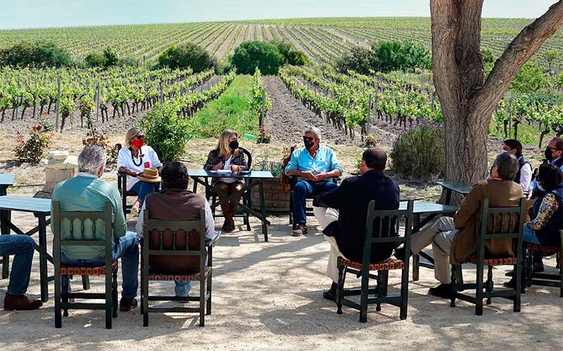 Se trabajará en “un proyecto global” para que los viñedos de Jerez puedan aspirar a beneficiarse de los fondos europeos Next Generation