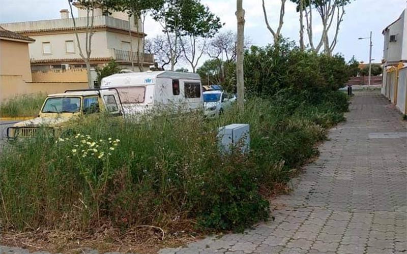 Socialistas y andalucistas, que tanto atacaban al anterior bipartito por el mal estado de los jardines, “no han hecho nada por su mejora”