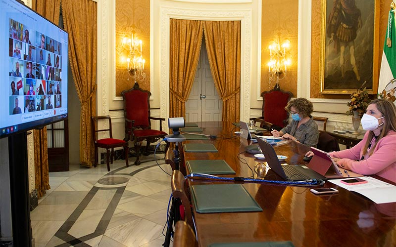 La Diputación pide un préstamo de 33 millones para seguir auxiliando a todos los municipios gaditanos, y liquida 2020 con 30 de superávit