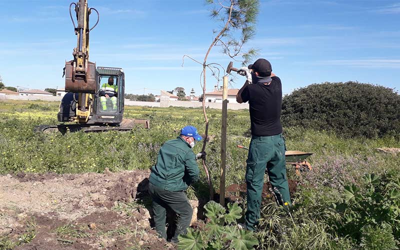 Los chiclaneros pueden asociar ya el nacimiento de su bebé con la plantación de un árbol; se busca “vincular a las familias a su entorno”