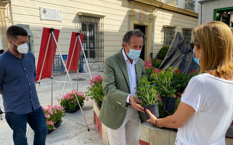 “Queremos poner la ciudad más bonita de cara al verano”: se buscan balcones en el centro de Chiclana para colocar macetas de gitanillas