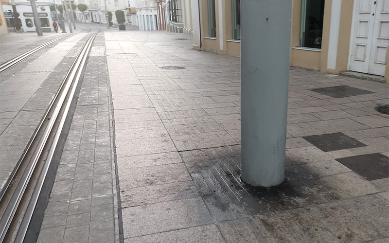 Reclaman un pleno extraordinario que aborde “el tema de los perros”: “inclusive la mismísima calle Real se ha convertido en WC público”