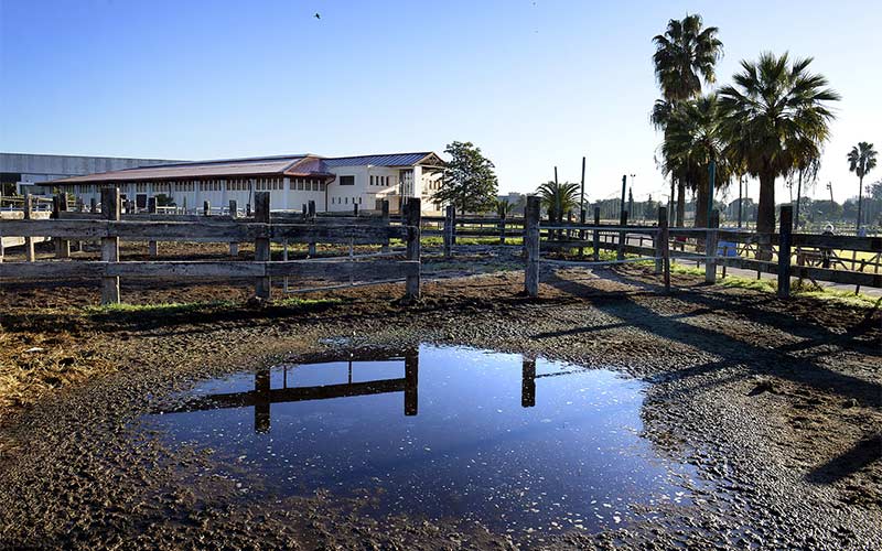 Ganadería Alpende explotará el centro ecuestre municipal de Chapín