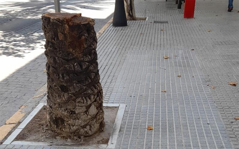 “Cádiz es antigua, pero no vieja, pero esa sensación de vieja es la que transmite”, opina 5 de Abril al exigir la Mesa de Mantenimiento Urbano