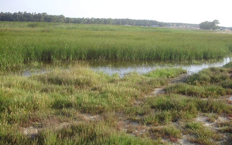 Se reforzará la protección y puesta en valor de la Laguna de la Paja