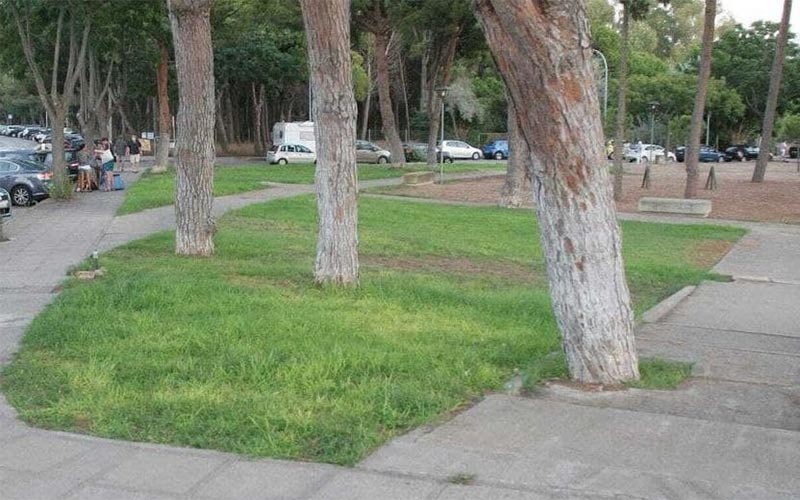 El bipartito portuense oficializa su ocurrencia de dedicar un parque a Pemán; IU ve “falta de respeto a la ley y al movimiento memorialista”