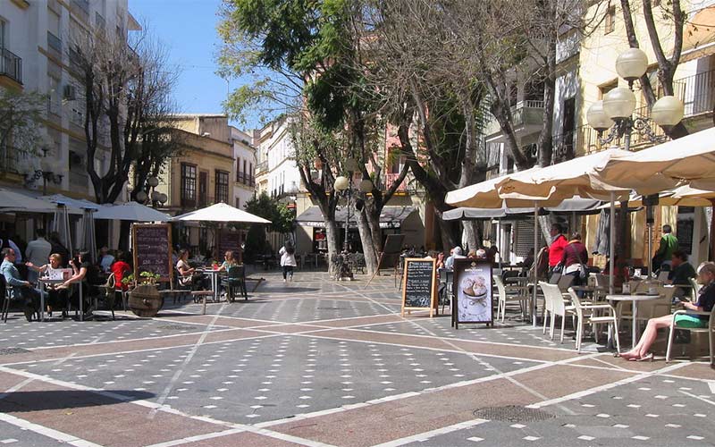 “Es más probable ver una ardilla que cruza Jerez, de Picadueña a La Milagrosa, de toldo en toldo de las terrazas que de árbol en árbol”