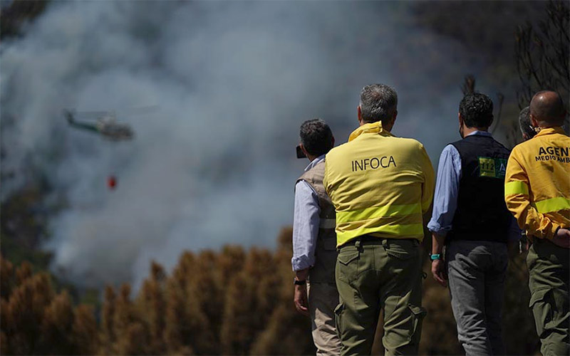 Bomberos gaditanos ultiman protocolos de respuesta por si se les requiere para apoyar en la extinción del incendio de Sierra Bermeja