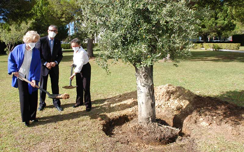 Un ‘bosque’ con “gran simbolismo” para los Honoris Causa de la UCA