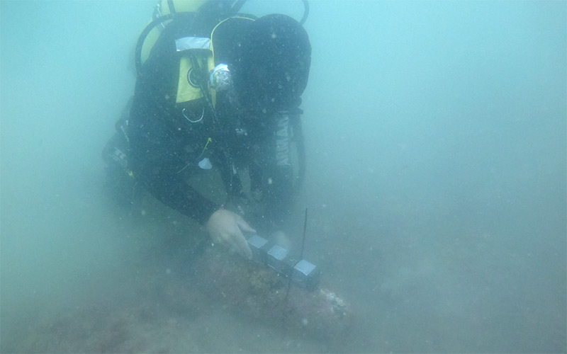 Especialistas de la Armada neutralizan hasta siete artefactos explosivos durante el verano en el litoral de la Bahía de Cádiz