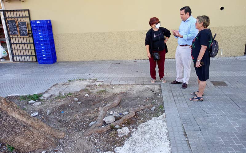 La Flave llama la atención al área de Medio Ambiente por demorar informes necesarios para que se ejecuten arreglos en calles y plazas