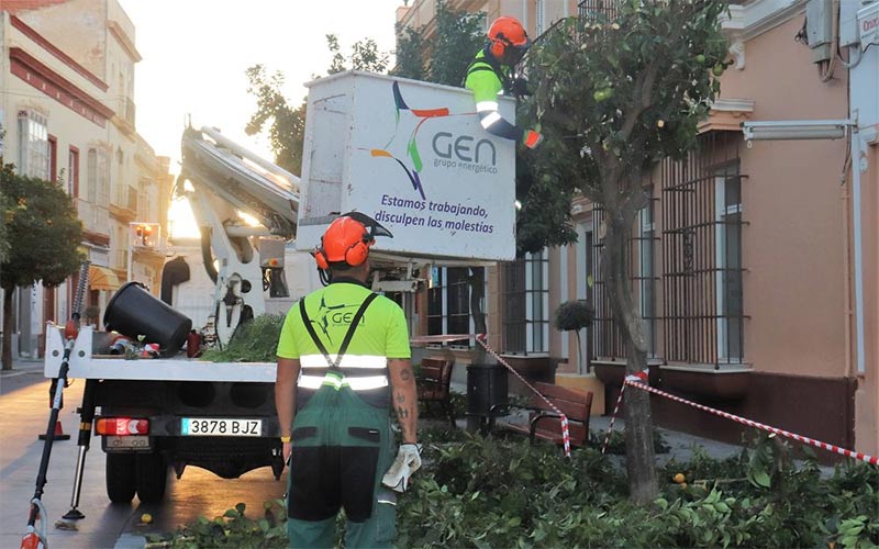 Planificado el “embellecimiento” de zonas verdes por todo Puerto Real