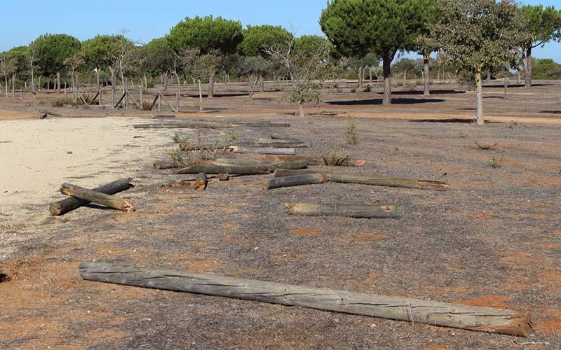 El vandalismo arremete contra el vallado de madera del Pinar de Hierro y La Espartosa, y al final “son los vecinos los que pagan”