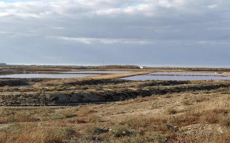 Podemos quiere información sobre los titulares de las salinas de San Fernando para la “fiscalización” de sus actividades y mantenimiento