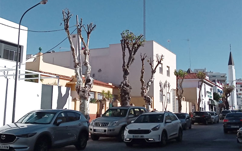 Vuelven los reproches al bipartito isleño por sus “políticas anti-árbol”