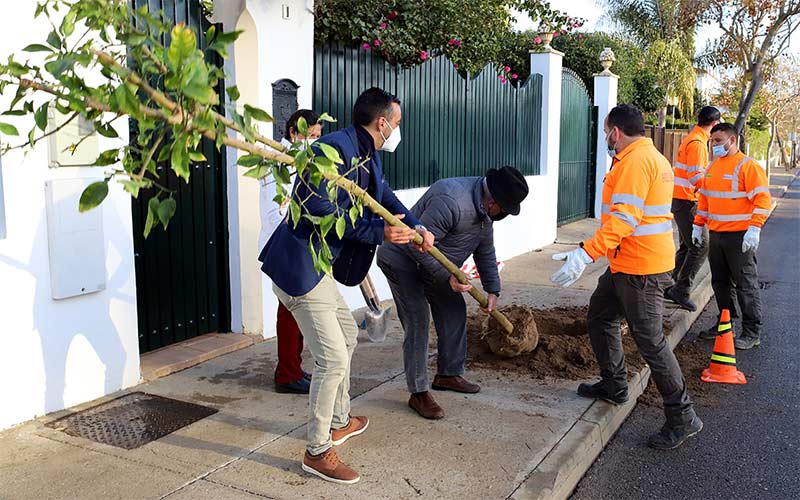 Más de 600 nuevos árboles para el Distrito Este de Jerez