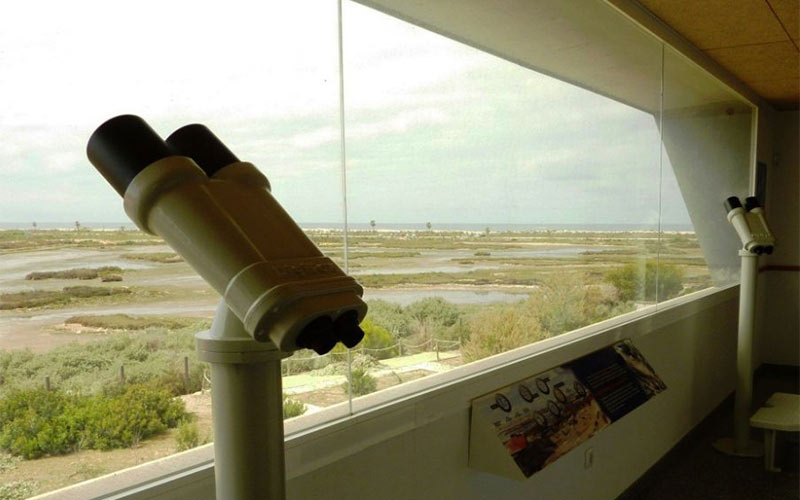 La Junta proyecta mejoras en el centro de visitantes del Parque Natural Bahía de Cádiz, en San Fernando, con fondos europeos