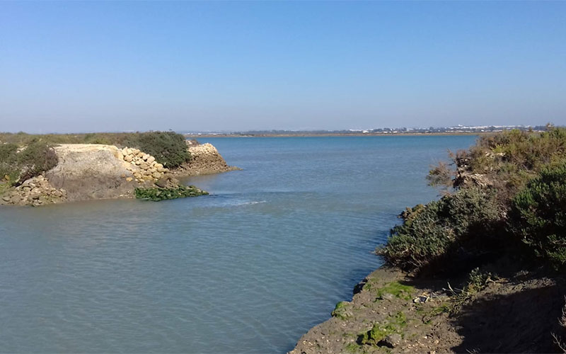 La alcaldesa isleña movilizará a los vecinos que “se sienten en peligro” para presionar a las administraciones a actuar en las vueltas de afuera