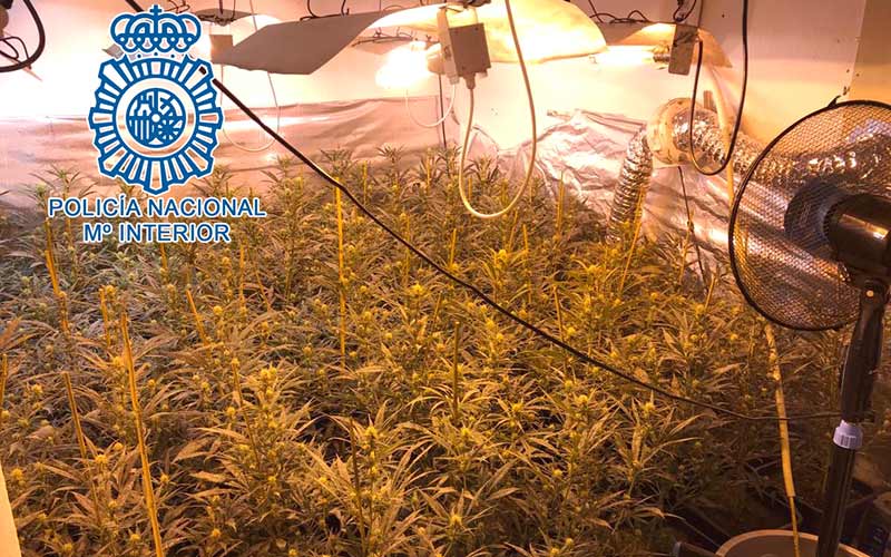 Transforman cinco viviendas de protección oficial de un mismo bloque de Jerez en centros de cultivo y procesado de plantas de marihuana
