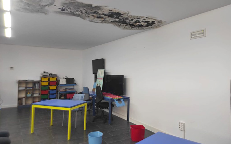 Humedades, techos caídos, goteras y cucarachas “campando a sus anchas”: denuncian la “dejadez” que soportan edificios municipales