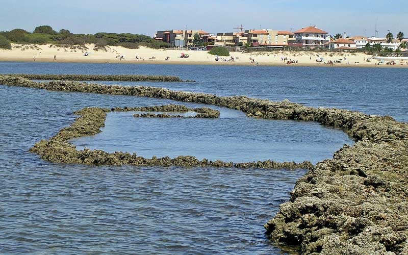 El Congreso aprueba instar al Gobierno a la protección de los corrales, importantes en Rota, y a promover que logren ser Patrimonio Mundial