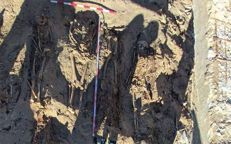 Ya son 86 los cuerpos con evidencias de muerte violenta localizados en Cádiz en los trabajos de exhumación en el cementerio San José