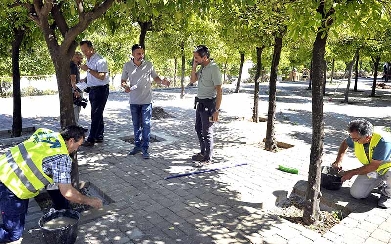 Trabajos en marcha para adecentar la Alameda Vieja de Jerez