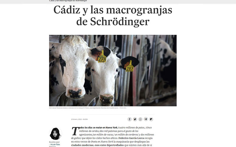 El XIX Premio Cádiz de Periodismo es para Pilar Vera por una “gran investigación” sobre macrogranjas, “provincializando un tema general”