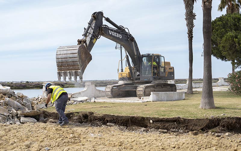Cavada “salva la vida” a 150 árboles de La Magdalena que molestan en el avance de las obras; se trasplantarán a otras zonas de San Fernando