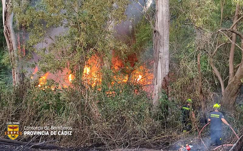 Controlado 24 horas después el incendio en Jerez avivado por el calor y el levante que obligaba a desalojos y cortes de carreteras