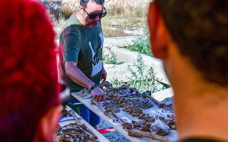 Última visita guiada a San José: Cádiz será la primera capital andaluza en cerrar las tareas de exhumación de víctimas del franquismo