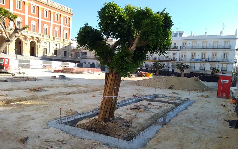 Sin novedades sobre la obra de la plaza del Rey: “el negacionismo de la alcaldesa le ha robado el verano a los negocios del entorno”