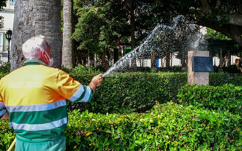Ponen en duda el cumplimiento del contrato de Parques y Jardines en Cádiz