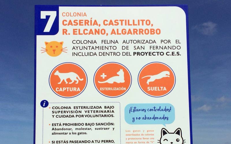 Dudosas políticas de bienestar animal en La Isla