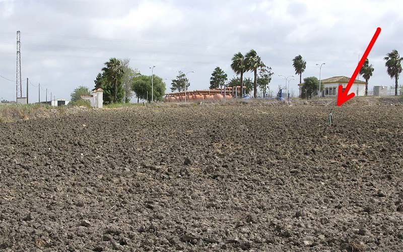 Una sentencia judicial afea la “inactividad” de la Junta y le condena a la recuperación de varias vías pecuarias en Rota