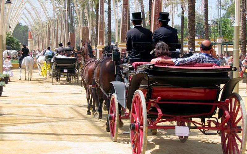 Pacma propone para Jerez coches de caballos “sin explotar animales”, con motores eléctricos