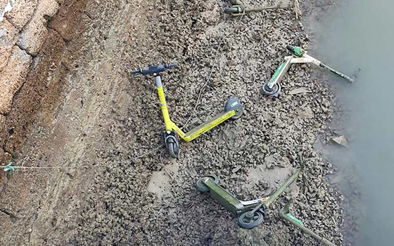 “El avistamiento de patinetes eléctricos en el río Guadalete se ha vuelto tan típico como el de las lisas mojoneras”