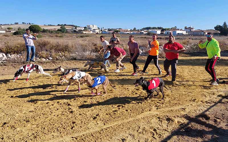 Chiclana estrena canódromo municipal