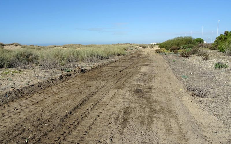 Exigen la paralización de las obras del sendero ciclopeatonal de Cádiz a La Isla atravesando la zona de Cortadura: “es un atentado ecológico”