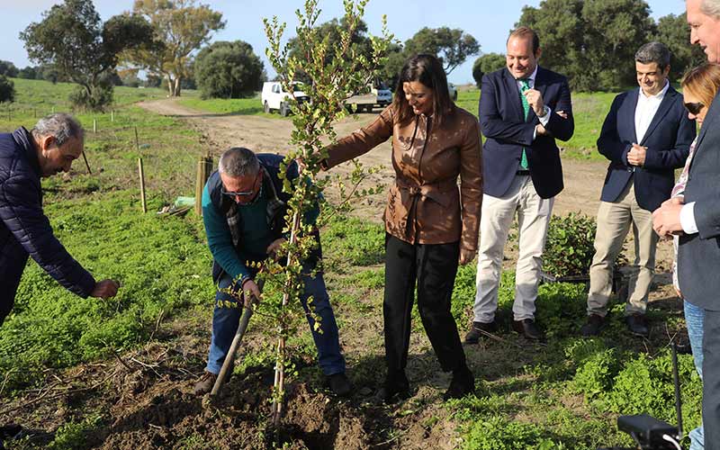 El ‘Bosque Navantia’ comienza a ser realidad