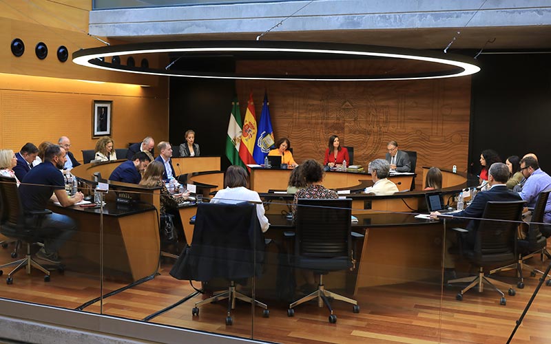 PSOE y Cs vuelven a quedarse solos a la hora de aprobar la revisión de las ordenanzas fiscales