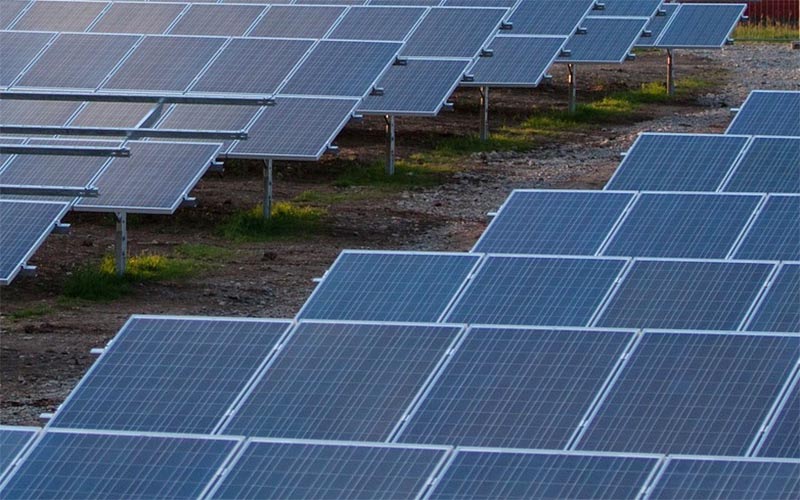 La “proliferación indiscriminada” de proyectos renovables en la campiña de Jerez llegará al Parlamento Europeo
